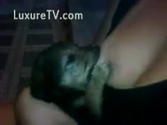 Baby pup sucks his master s breast